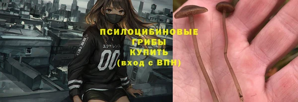 мескалин Богданович