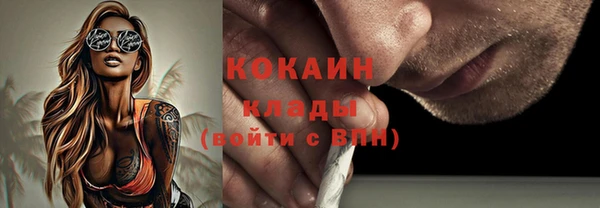 дмт Богородицк