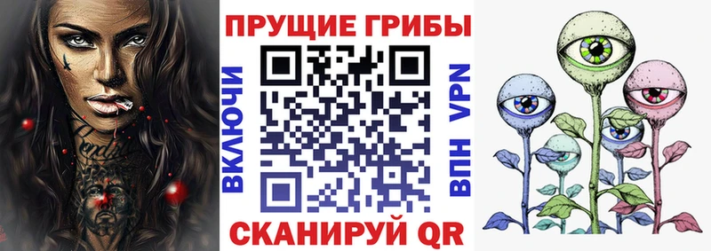 Галлюциногенные грибы ЛСД  kraken ссылки  Вихоревка 
